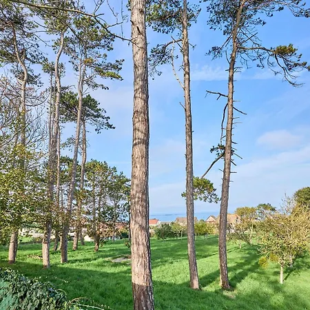 Hébergement de vacances The Tiny House - Maisonette Proche De La Manvieux